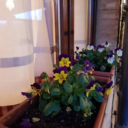 Casa Donella Дом отдыха